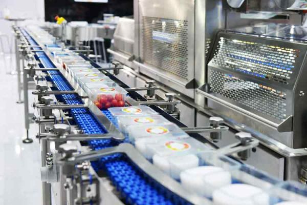 Food Packaging Conveyor System